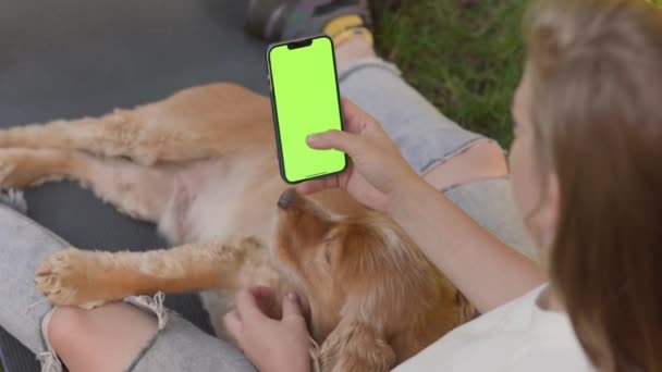 英国のコッカーのスパニエル犬と都市公園で芝生に座って 緑のモックアップスクリーンで電話を使用する若い女の子 — ストック動画