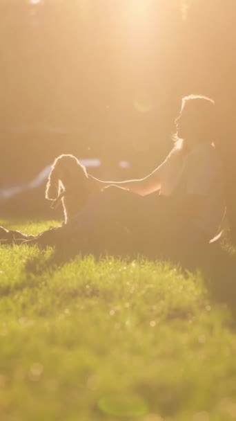 Молодая Женщина Сидит Лужайке Рядом Деревом Парке Своей Собакой Гладит — стоковое видео