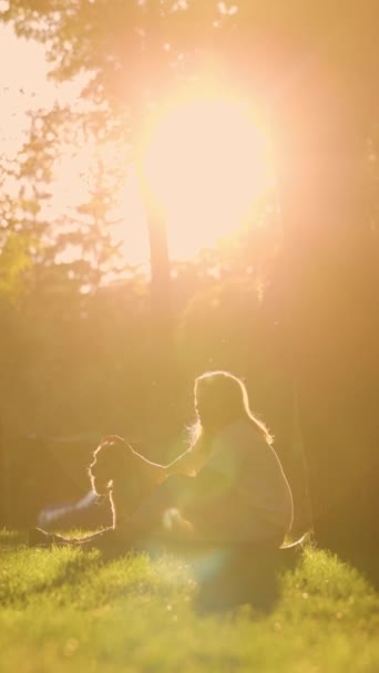 Mujer Joven Sienta Césped Cerca Del Árbol Parque Con Perro — Vídeo de stock