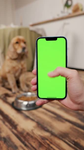 Telefone Com Tela Verde Mão Humana Fundo Cão Inglês Cocker — Vídeo de Stock