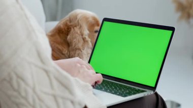 Evcil Köpeği İngiliz Cocker Spaniel ile evde otururken Yeşil Ekran Laptop kullanan Genç Kadın. Laptop 'u Yeşil Model Ekranı ile kapat