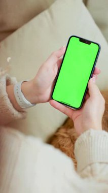 Genç Kadın, rahat odasında evcil köpeğiyle otururken ekranda akıllı bir telefon kullanıyor.