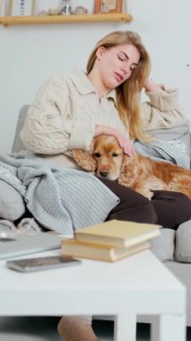 Genç bir kadın evcil köpeğini koltukta rahat bir odada okşuyor. Evcil Hayvan ve Kadın Oturma Odasında Rahatlayın ve Dinlenin