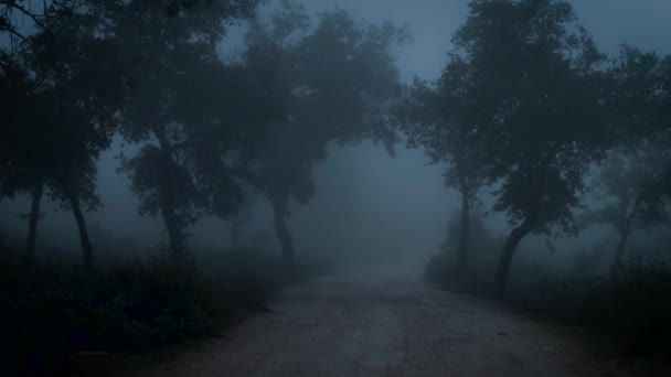 風と霧の暗闇の中でレーン — ストック動画