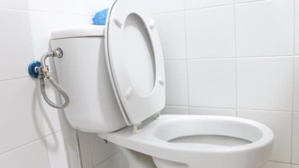 Wrzucanie Mokrej Chusteczki Toalety — Wideo stockowe