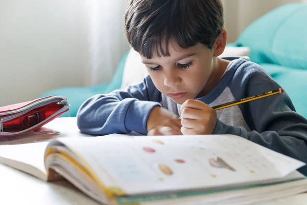 stock image Boy doing homework at home, horizontal