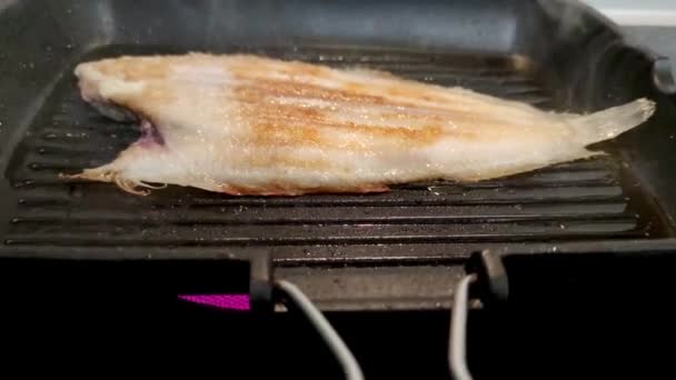 Риба Грилі Керамічній Плиті Вдома — стокове відео