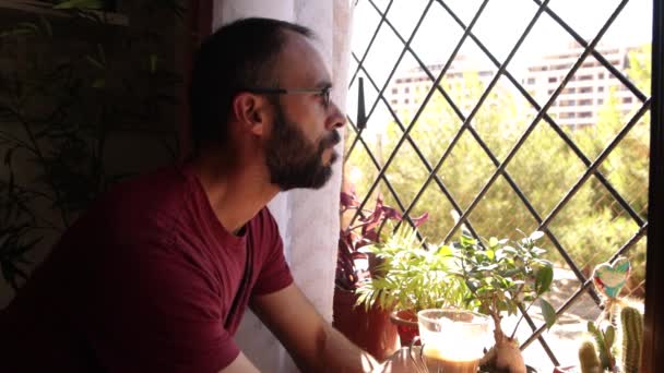 Kahve Içen Bir Adam Camına Yaslanmış Bitkilerle Hoome — Stok video