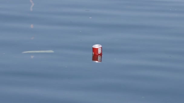 Beverage Can Floating Water — Stok Video