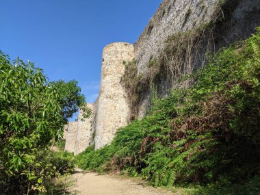 Kenarlarında taş bir duvar olan bir ormanın içinden geçen bir patika. Duvar asmalarla kaplı ve patika yeşil çalılarla kaplı. Huzurlu ve huzurlu bir sahne.