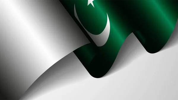 Pakistan Bayrağı Taşıyan Eps10 Vatansever Geçmişi Kullanmak Istediğiniz Etki Için — Stok Vektör