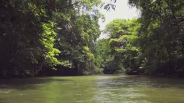 Yağmur ormanlarının ortasındaki nehrin inanılmaz manzarası.. 