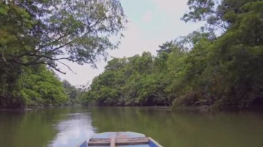 Yağmur ormanlarının ortasındaki nehrin inanılmaz manzarası.. 