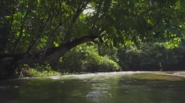 Yağmur ormanlarının ortasındaki nehrin inanılmaz manzarası.. 