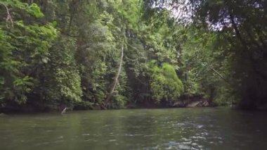 Yağmur ormanlarının ortasındaki nehrin inanılmaz manzarası.. 