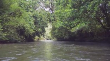 Yağmur ormanlarının ortasındaki nehrin inanılmaz manzarası.. 