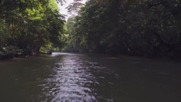 Yağmur Ormanlarının Ortasındaki Nehrin Inanılmaz Manzarası — Stok video