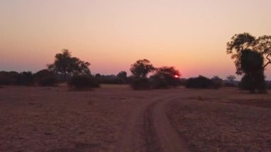Muhteşem Afrika savanasının 4x4 'üne bakın. Klasik Afrika safarisi..