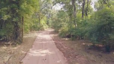 Hindistan 'ın en güzel ulusal parklarından birinin 4x4' lük manzarası. Kaplanları ve nesli tükenmekte olan diğer türleri keşfetmek için klasik Hint safarisi..