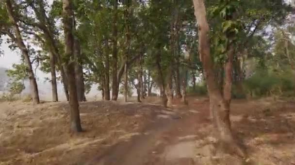 Вид 4X4 Одного Найкрасивіших Індійських Національних Парків Класичне Індійське Сафарі — стокове відео