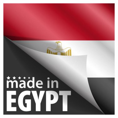 Made in Egypt graphic and label. Element of impact for the use you want to make of it.