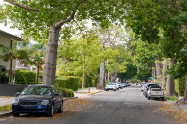 Santa Barbara 'da, olgun ağaçlar, düşen yapraklar ve kaldırım kenarına park edilmiş arabaların yer aldığı yerleşim yeri..