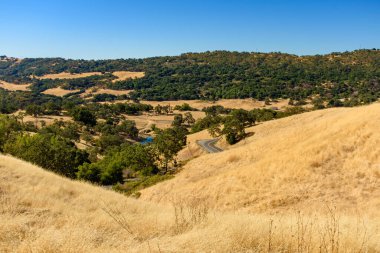 Joseph D. Grant County Park 'taki Halls Vadisi manzarası. Hamilton Yolu kurak, altın tepeler ve yemyeşil ormanlar arasında dolambaçlı açık mavi gökyüzü altında.