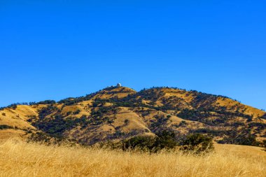 Altın çimenler Joseph D. Grant İlçe Parkı 'nın kayan tepelerini kaplarken, Hamilton Dağı' ndaki Lick Gözlemevi mavi gökyüzünün arka planına karşı görülebilir.