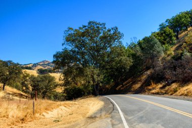 Sarmal bir dağ. Hamilton Yolu, ağaçlar ve altın tepelerle kaplı Joseph D. Grant İlçe Parkı 'nın kıvrımları ve Hamilton Dağı' nda görülen Lick Gözlemevi ile kesişiyor.