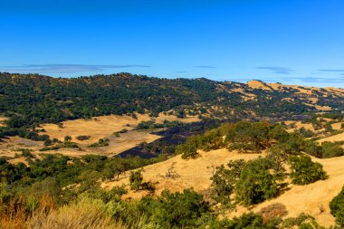 A prescribed burn area in Halls Valley at Joseph D. Grant County Park bordered by golden grass fields and green forests under a clear sky clipart