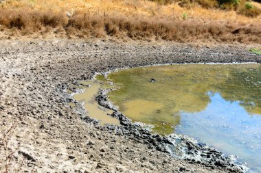 Kuru bir gölet, kıyılardaki altın çimlerle çevrelenmiş bulanık suyla, kenarları boyunca çatlamış, çamurlu bir toprak ortaya çıkarır.