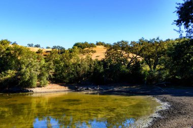 Küçük bir gölette sakin bir su, sık yeşil ağaçlarla ve arka planda altın tepelerle çevrili.