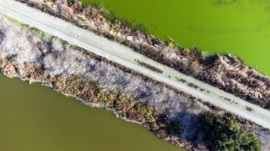 Çamurlu su setinin yukarıdan görünen görüntüsü, iki zıt su kütlesi arasındaki sınır, yemyeşil bitki örtüsüyle çevrili.