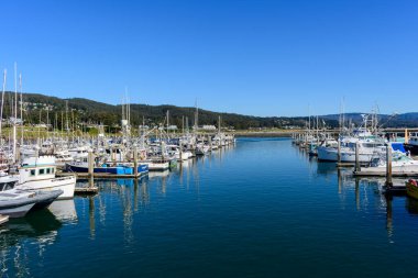 Pillar Point Limanı 'nın manzaralı manzarasında açık mavi gökyüzü altında rıhtımlı balıkçı tekneleri ve yatlar sergileniyor ve arka planda manzaralı tepeler var - Half Moon Bay, California, ABD - 9 Şubat 2025