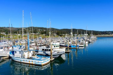 Pillar Point Limanı 'nın manzaralı manzarasında açık mavi gökyüzü altında rıhtımlı balıkçı tekneleri ve yatlar sergileniyor ve arka planda manzaralı tepeler var - Half Moon Bay, California, ABD - 9 Şubat 2025