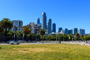 San Francisco şehir merkezinin manzarası modern gökdelenler, palmiye ağaçları ve açık mavi gökyüzü altında çimenli bir park - San Francisco, California, ABD - 22 Haziran 2024