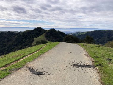 Dağınık inek gübresiyle döşenmiş kırsal bir yol yuvarlak tepeleri ve çimenli araziyi kesiyor katmanlı tepeleri ve puslu ufku gösteriyor.