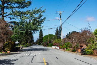Uzun, yeşil ağaçlar ve her iki tarafında ahşap çitler olan sessiz bir cadde ve Los Altos, California 'da uzanan görünür elektrik hatları.