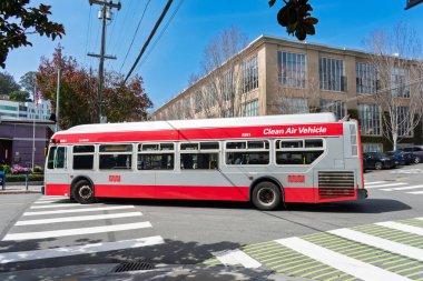SF Muni Temiz Hava Taşıtları otobüsü, şehir mimarisi, yaya geçidi işaretleri ve yeşillik - San Francisco, California, ABD - 15 Mart 2025