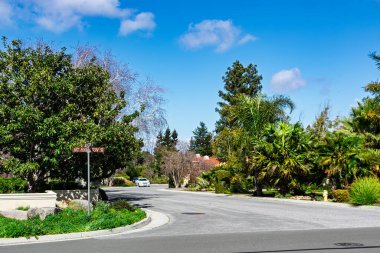 Los Altos, California 'da sakin bir banliyö kavşağı. Hamilton sokak tabelası, yemyeşil, palmiye ağaçları ve yerleşim yerine park edilmiş beyaz bir araba.