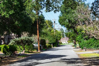 Olgun ağaçlar ve tepedeki elektrik hatlarıyla kaplı sessiz bir yerleşim yeri. California 'nın banliyölerinde güneşli bir günde yol boyunca gölgeler bırakıyorlar..