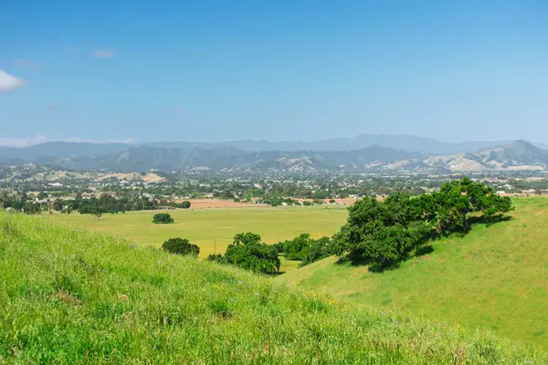 Coyote Gölü 'nden yükselen manzara - Harvey Bear Çiftliği Şehir Parkı canlı yeşil bir tepe, açık tarım arazisi ve arka planda uzak dağları olan geniş bir kasaba gösteriyor..