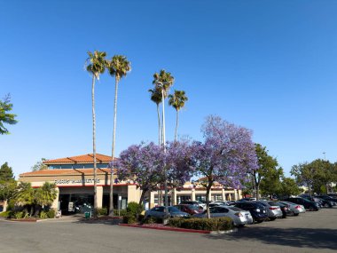 Paris Baguette fırın dış görünümü perakende plazasında çiçek açan jakaranda ağaçları, palmiye ağaçları ve araç dolu otopark - Cupertino, California, ABD - 16 Haziran 2025