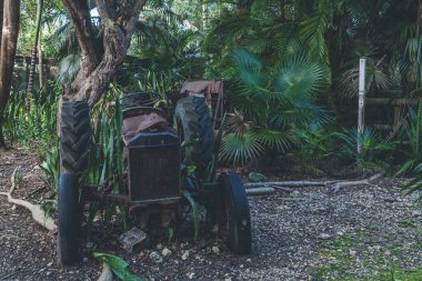 Guadeloupe kırsalında eski, terk edilmiş ve kırılmış bir traktör.