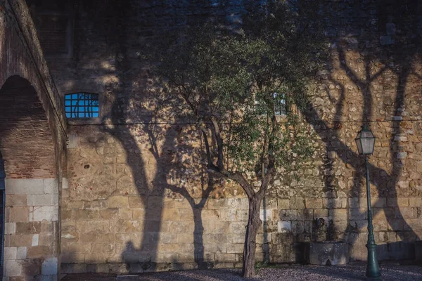 Sombras Árboles Personas Una Pared Ladrillo Antiguo Edificio Pared Ladrillo — Foto de Stock