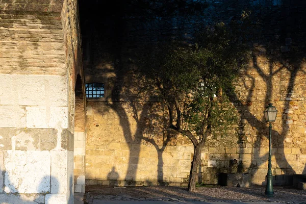Sombras Árboles Personas Una Pared Ladrillo Antiguo Edificio Pared Ladrillo — Foto de Stock