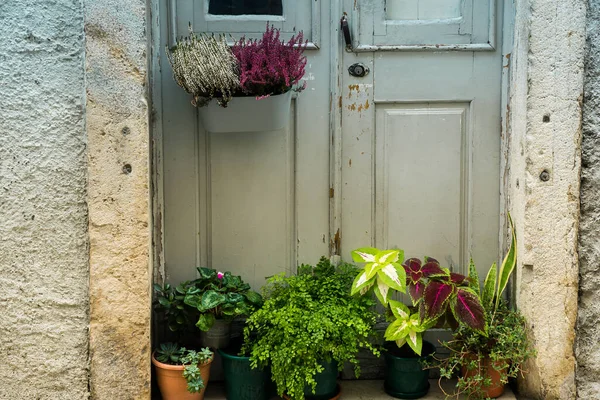 Tabouret Avec Beaucoup Plantes Pot Colorées Comme Décoration Pour Immeuble — Photo