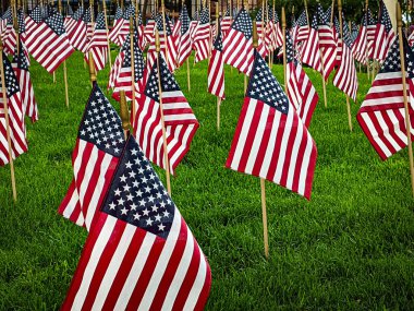 Vatansever Amerikan bayrakları Amerikan tarihinin en önemli günlerinden birini kutluyor. Bahçede bir sürü bayrak var.