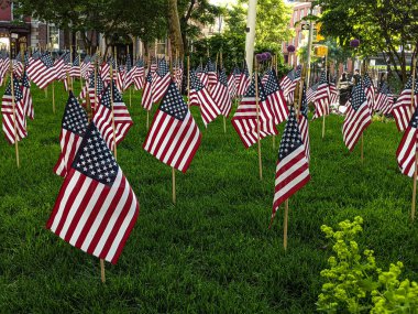 Vatansever Amerikan bayrakları Amerikan tarihinin en önemli günlerinden birini kutluyor. Bahçede bir sürü bayrak var.