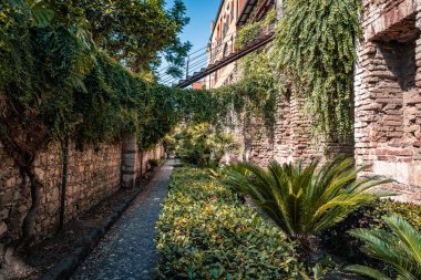 Güneşli bir yaz gününde asfalt kaldırım boyunca ağaçlarla kaplı taş ve tuğla duvarlar.